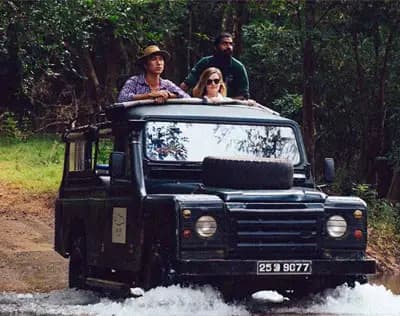 Yala safari