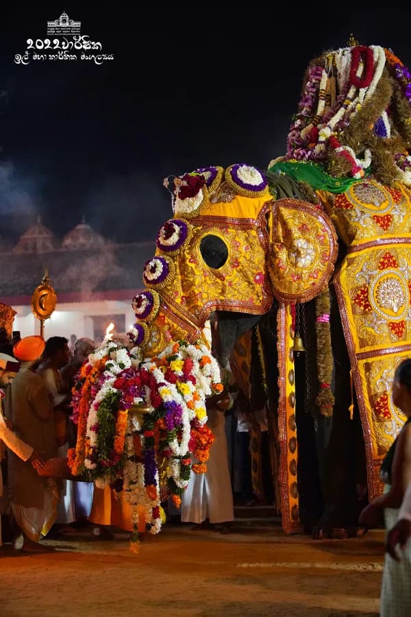 Elephant with Karanduwa