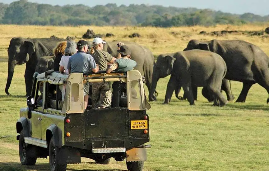 Sri Lanka's Breathtaking Wildlife Haven